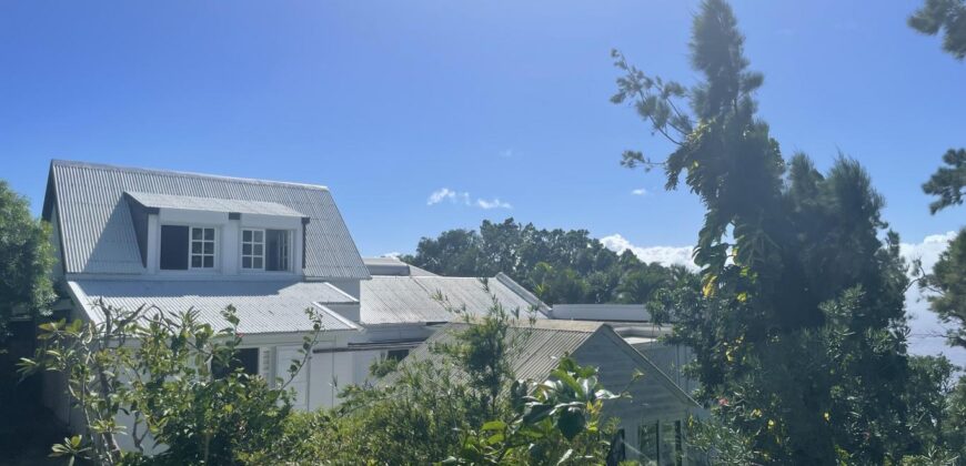A vendre une charmante villa F4 avec deux T2 indépendants sur un terrain de 1800m2 à Saint Denis
