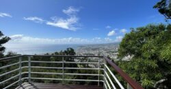 A vendre une charmante villa F4 avec deux T2 indépendants sur un terrain de 1800m2 à Saint Denis