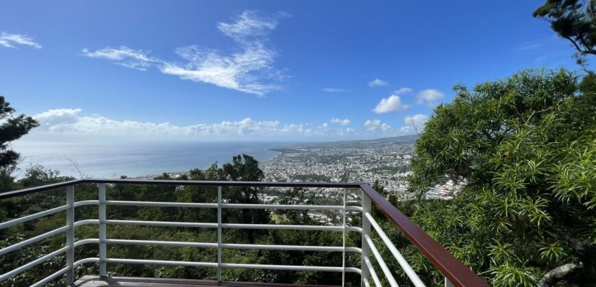 A vendre une charmante villa F4 avec deux T2 indépendants sur un terrain de 1800m2 à Saint Denis