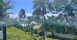 A vendre une charmante villa F4 avec deux T2 indépendants sur un terrain de 1800m2 à Saint Denis