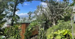 A vendre une charmante villa F4 avec deux T2 indépendants sur un terrain de 1800m2 à Saint Denis