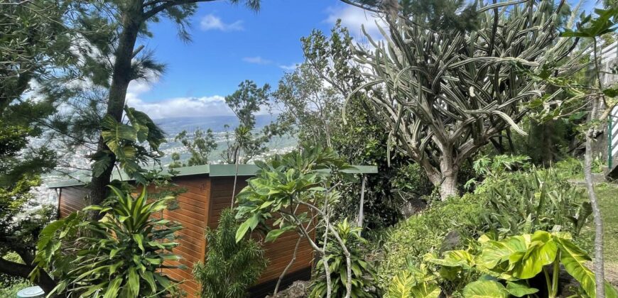 A vendre une charmante villa F4 avec deux T2 indépendants sur un terrain de 1800m2 à Saint Denis