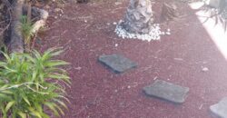 A louer un appartement T2 meublé en rez de jardin face au lagon de Saint Leu