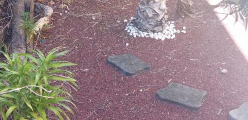 A louer un appartement T2 meublé en rez de jardin face au lagon de Saint Leu