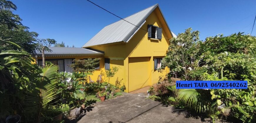 Vente d’une belle villa F6 de 150m2 sur un vaste terrain de 524 m2 dans le cadre paisible de Saint Philippe