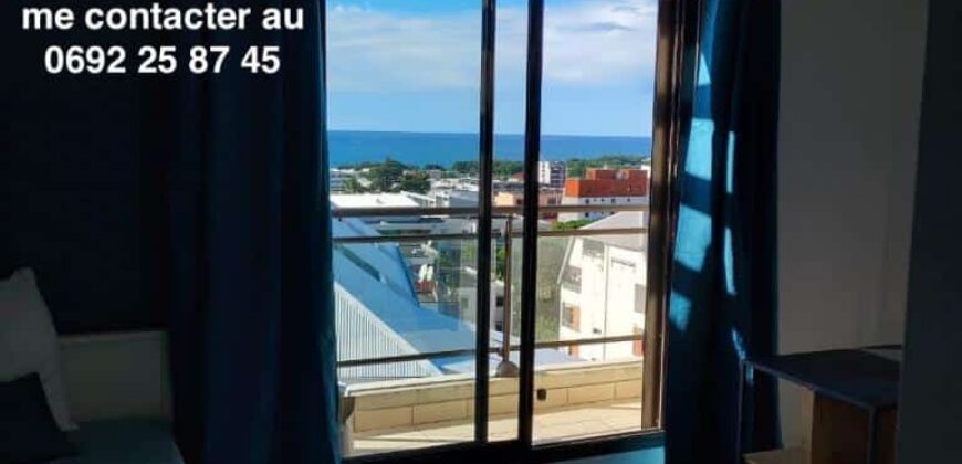 A louer un studio meublé proche commodités à Sainte Clotilde