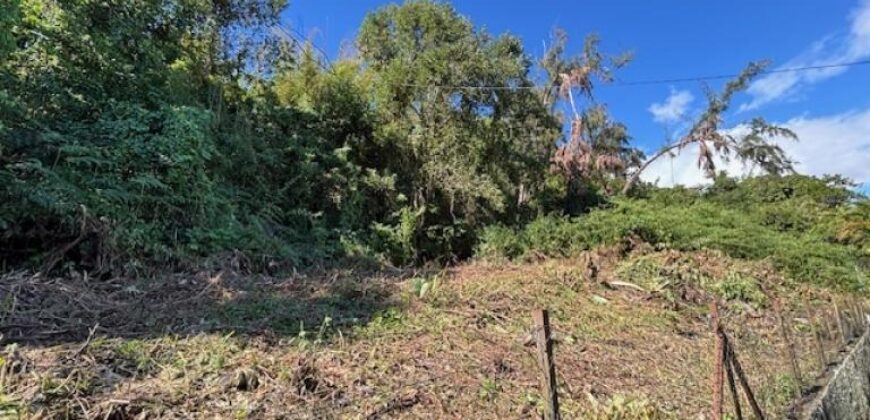 A vendre un vaste terrain de 737m2 proche des commerces à La Montagne