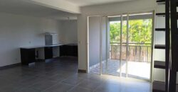 A vendre un immeuble neuf de 367 m2 composé de 5 appartements situé à Saint Louis