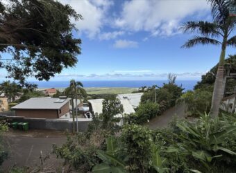 A vendre terrain de 273 m2 en pente avec vue mer et montagne situé aux Avirons
