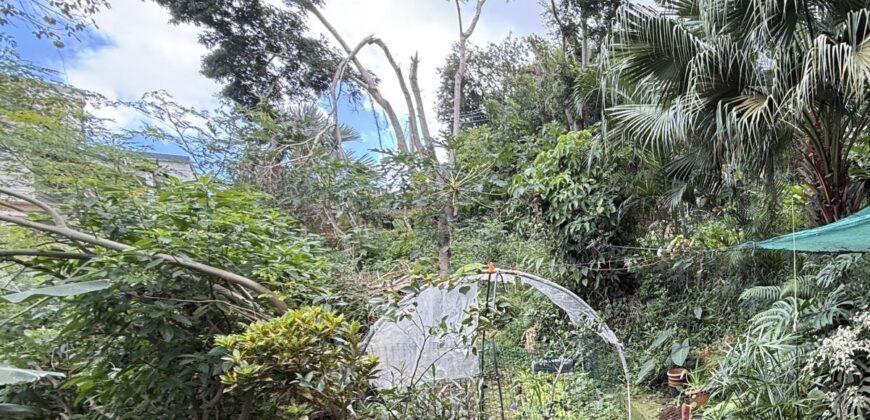 A vendre un terrain en pente de 419 m2 situé dans la commune des Avirons