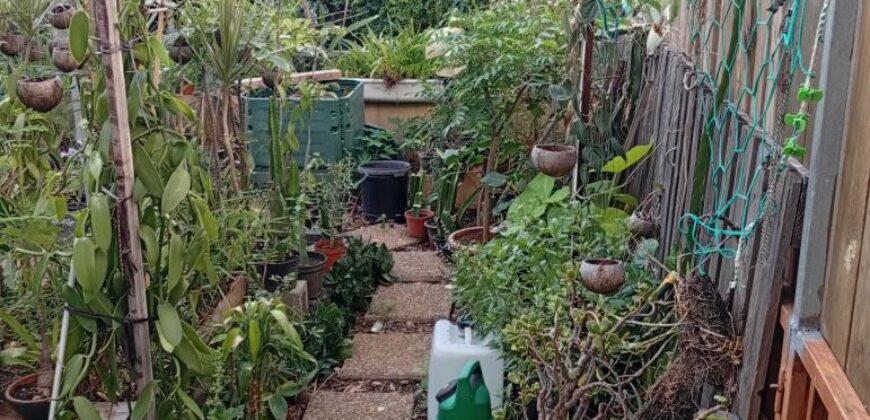 A vendre un appartement T3 avec terrasse et varangue à Saint Pierre