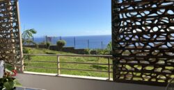 A vendre un charmant appartement T3 de 67m2 avec vue imprenable sur à Piton Saint Leu