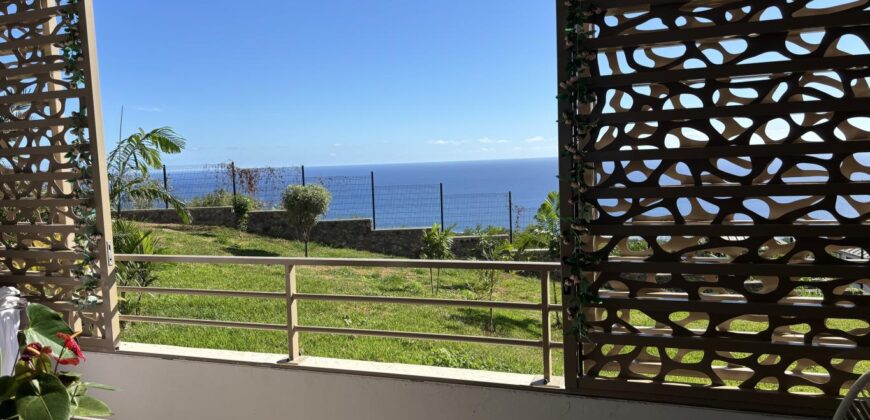A vendre un charmant appartement T3 de 67m2 avec vue imprenable sur à Piton Saint Leu