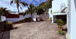 Vente d’une superbe villa familiale de 226 m² avec piscine offrant vue imprenable sur l’océan à la Montagne
