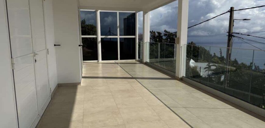 Vente d’une superbe villa familiale de 226 m² avec piscine offrant vue imprenable sur l’océan à la Montagne