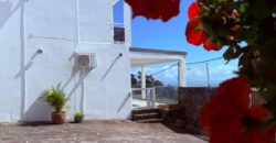 Vente d’une superbe villa familiale de 226 m² avec piscine offrant vue imprenable sur l’océan à la Montagne
