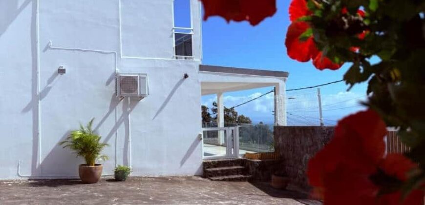 Vente d’une superbe villa familiale de 226 m² avec piscine offrant vue imprenable sur l’océan à la Montagne