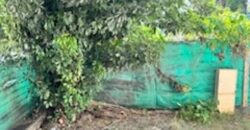 A vendre une charmante villa jumelée de type F4 située dans une résidence sécurisée à Sainte Clotilde La Bretagne