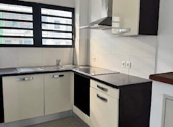 A louer un lumineux appartement de 40.30m2 sur les bas de la route Bois de Nèfles à Sainte Clotilde.