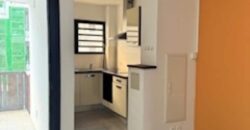 A louer un lumineux appartement de 40.30m2 sur les bas de la route Bois de Nèfles à Sainte Clotilde.