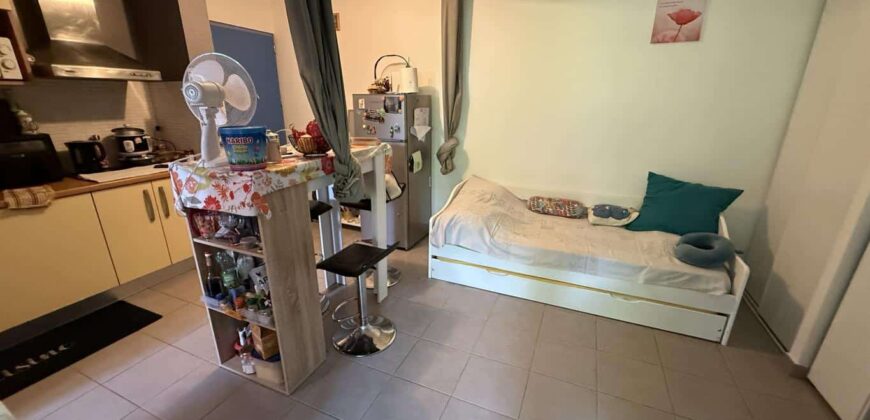 A vendre un studio de 23.65 m2 situé dans une résidence sécurisée à La Rivière Saint Louis