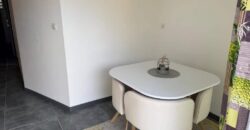 En location une superbe villa meublée de type F3/4 située dans un cadre paisible au Tampon 13ème