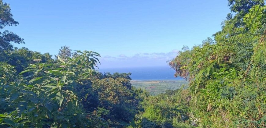En vente une belle parcelle de terrain constructible de 5462 m2 situé aux Avirons