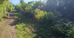 En vente une belle parcelle de terrain constructible de 5462 m2 situé aux Avirons