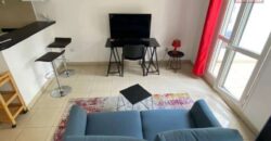 Location d’un studio meublé de 32.36m2 avec grande terrasse à Saint Denis
