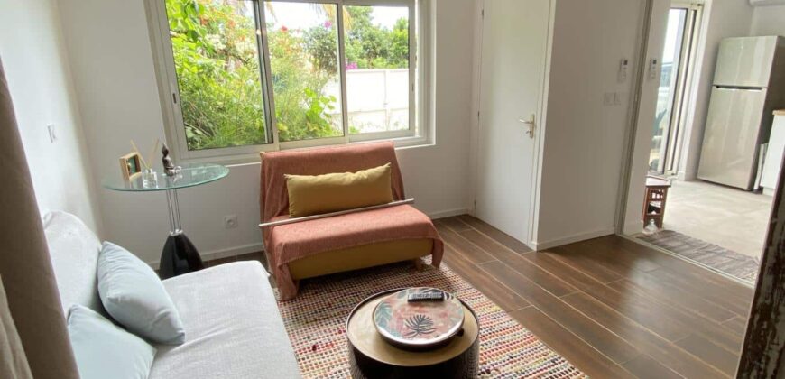 A louer un lumineux appartement T1 bis indépendant, situé au calme d’une impasse à La Montagne.