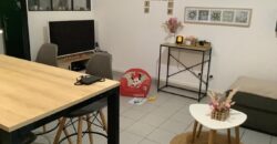 En location une villa jumelée de type F3 de 75 m2 située à La Rivière Saint Louis