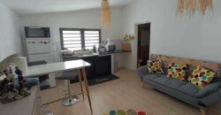 À vendre à Saint-Pierre une villa de 184 m² composée de 5 logements meublés