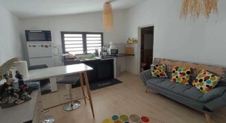 À vendre à Saint-Pierre une villa de 184 m² composée de 5 logements meublés