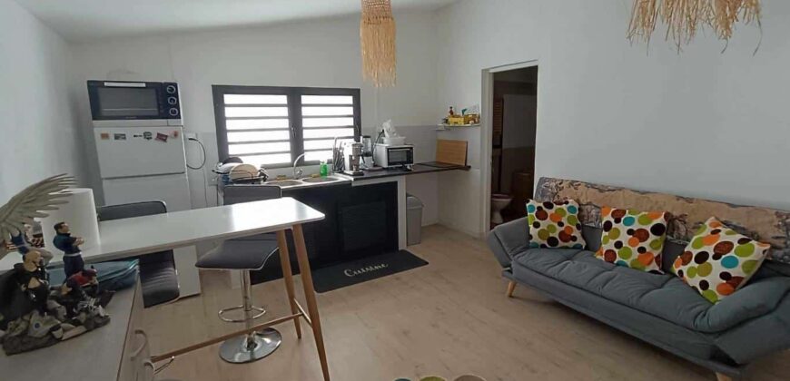 À vendre à Saint-Pierre une villa de 184 m² composée de 5 logements meublés
