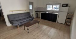 À vendre à Saint-Pierre une villa de 184 m² composée de 5 logements meublés