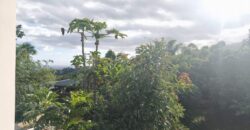 Vente d’une spacieuse villa F4 avec sous-sol sur un terrain arboré de 800m2 située dans le secteur résidentiel du Ruisseau à La Rivière Saint-Louis.