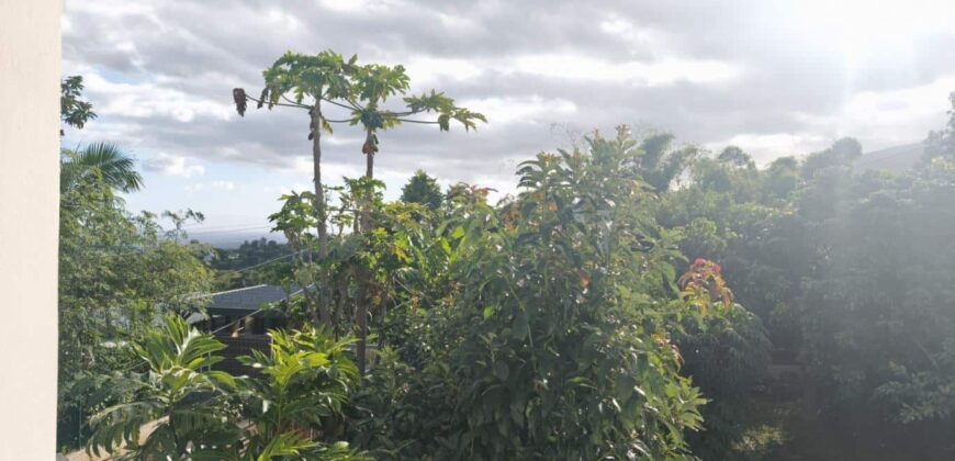 Vente d’une spacieuse villa F4 avec sous-sol sur un terrain arboré de 800m2 située dans le secteur résidentiel du Ruisseau à La Rivière Saint-Louis.