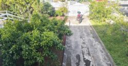 Vente d’une spacieuse villa F4 avec sous-sol sur un terrain arboré de 800m2 située dans le secteur résidentiel du Ruisseau à La Rivière Saint-Louis.