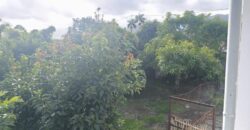 Vente d’une spacieuse villa F4 avec sous-sol sur un terrain arboré de 800m2 située dans le secteur résidentiel du Ruisseau à La Rivière Saint-Louis.