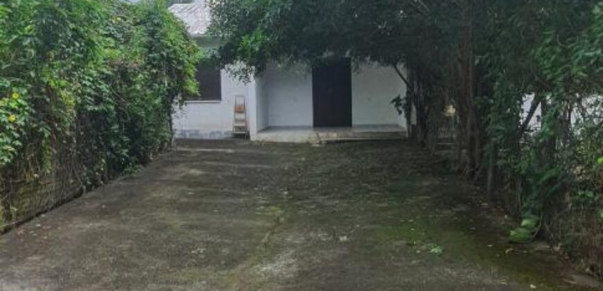 A louer une villa de 59.29m2 avec jardin situé proche centre ville de Saint Benoit