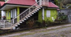 En vente villa F5/6 en duplex avec vue montagne située dans un endroit calme et verdoyant à Bras Sec