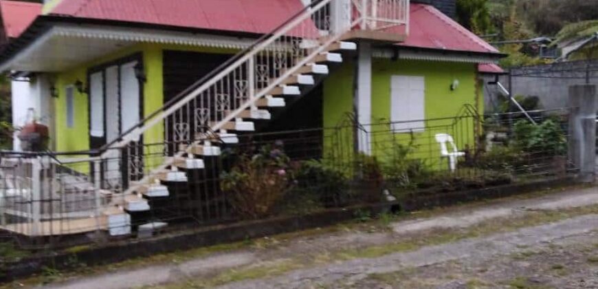 En vente villa F5/6 en duplex avec vue montagne située dans un endroit calme et verdoyant à Bras Sec