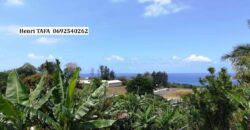 Location d’une villa jumelée de 73.64 m2 située dans un cadre calme proche de toutes commodités à SAINT JOSEPH
