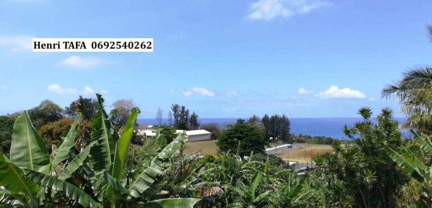 Location d’une villa jumelée de 73.64 m2 située dans un cadre calme proche de toutes commodités à SAINT JOSEPH