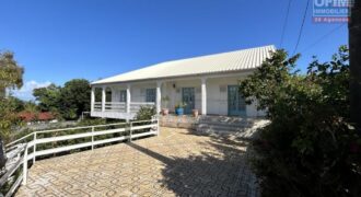 Vente d’une spacieuse villa F4 avec sous-sol sur un terrain arboré de 800m2 située dans le secteur résidentiel du Ruisseau à La Rivière Saint-Louis.
