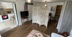 A louer un lumineux appartement T1 bis indépendant, situé au calme d’une impasse à La Montagne.