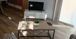 A louer un charmant appartement meublé de 51m2 situé dans une zone résidentielle de Saint Leu