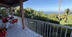 À vendre villa R+1 avec deux logements indépendants et vue panoramique située à l’entrée sud des Avirons