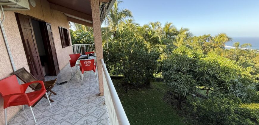 À vendre villa R+1 avec deux logements indépendants et vue panoramique située à l’entrée sud des Avirons