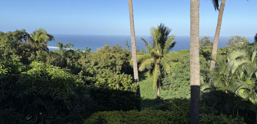 À vendre villa R+1 avec deux logements indépendants et vue panoramique située à l’entrée sud des Avirons